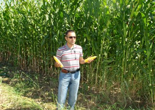 Ereğli'de silajlık mısır ekiminde artış