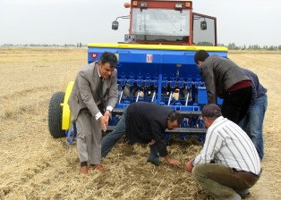 Ereğli iklimine en uygun hububat buğday