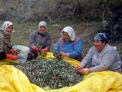Kadınların yüzde 71'i sigortasız çalıştırılıyor