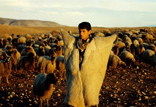 Çoban kavgasında silahlar konuştu