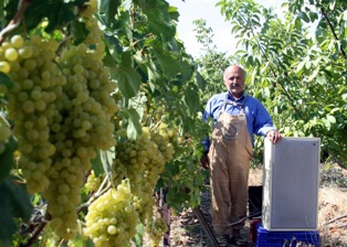 Türk aklı bir başka!