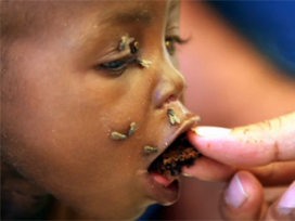 Somali'den güzel haberler geldi