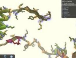 AIDS aşısı sonunda tuttu