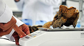 Kansere umut Anadolu'dan