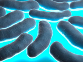 Bakteriden füze yakıtı ürettiler