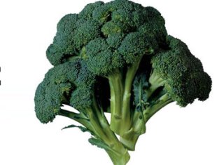 Kansere karşı "Süperbrokoli"