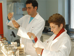 MS hastalarını sevindirecek haber