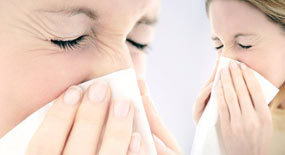 Gribe karşı önleminizi alın!