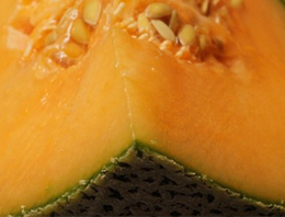 Bu kavunu yiyen 21 kişi öldü