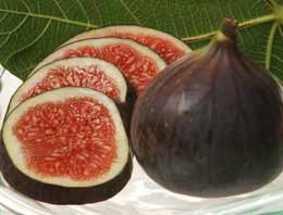 Tansiyon hastalarına muhteşem bitki