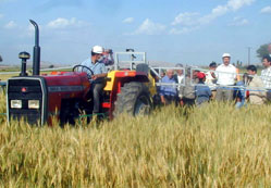 77 yıldır baş edemediğimiz düşman