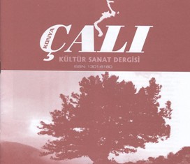 Edebiyat dergileri