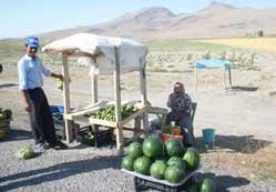 Ekmekleri yol kenarından...