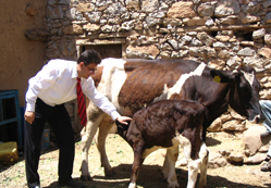 Projeyle kalkınacaklar