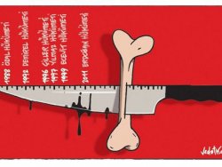 Karikatüristler şehit acısını böyle çizdi