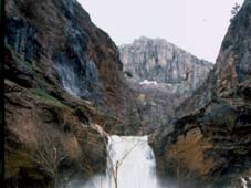 Doğa Tutkusu