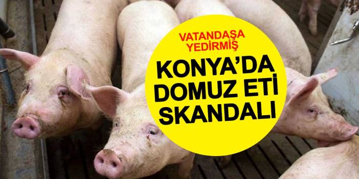 Konya'da vatandaşa domuz eti yediren restoran ifşa edildi