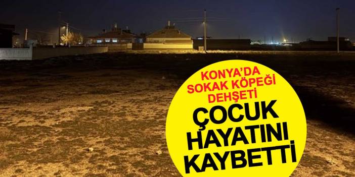 Sokak köpeklerinin saldırdığı çocuk hayatını kaybetti: Valilikten açıklama geldi