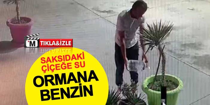 Orman kundakçısı FETÖ’den ihraç hava astsubay çıktı
