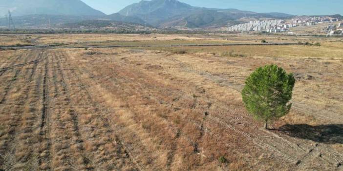 BYD Türkiye'yi kandırdı mı?