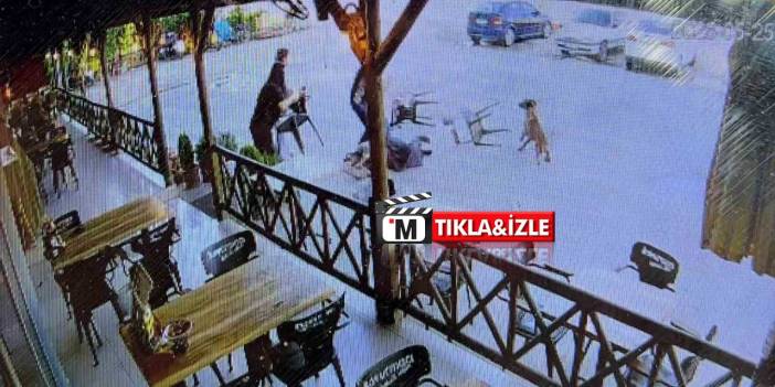 Yardıma Koşanlar Köpeği Durduramadı! Kadın Canını Zor Kurtardı