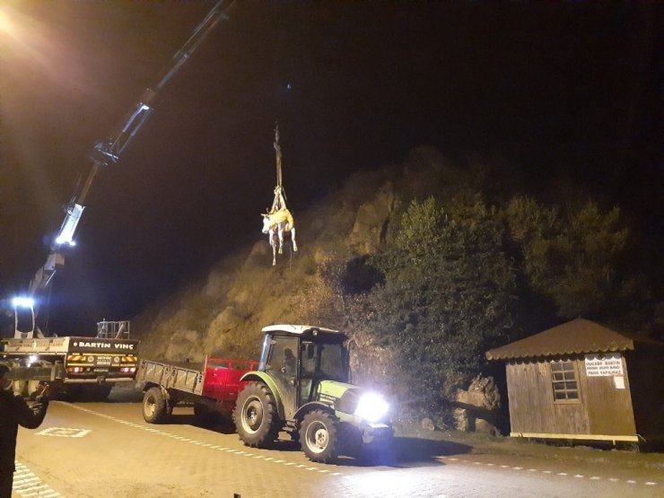 Uçurumda ağaca asılı kalan inek kurtarıldı