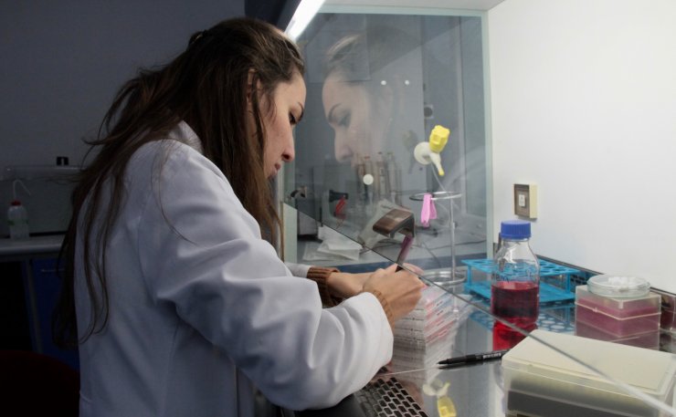 "Sığırların viral diyaresi" hastalığına karşı yerli aşı geliştiriliyor