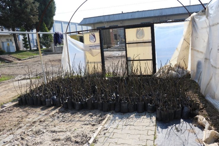 Üreticiler 2020’de Yunusemre Belediyesi ile sevinecek