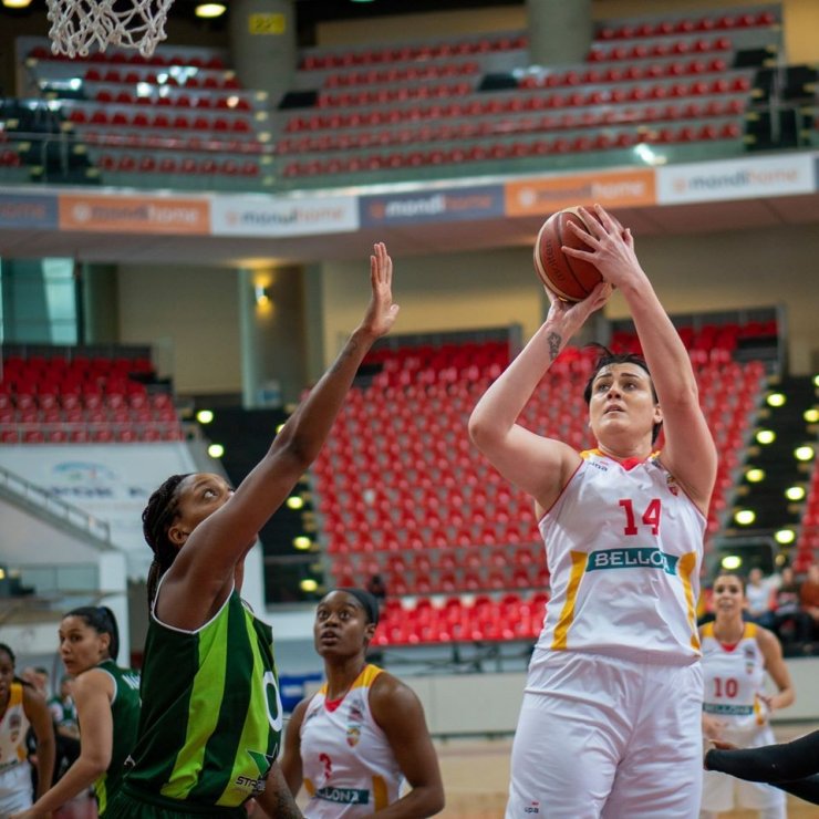 Türkiye Kadınlar Basketbol Ligi