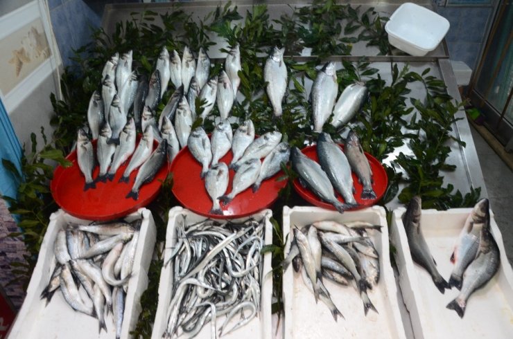 Tezgahları havuz balıkları süslüyor