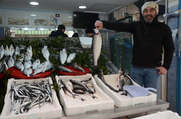 Tezgahları havuz balıkları süslüyor