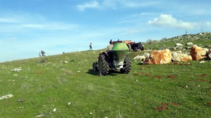 Meralarda ilkbahar gübrelemesi