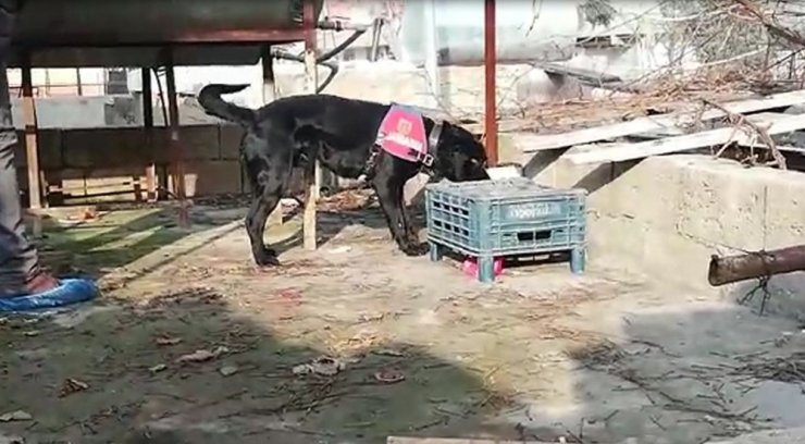 Uyuşturucu operasyonunda yakalanan şüpheli tutuklandı