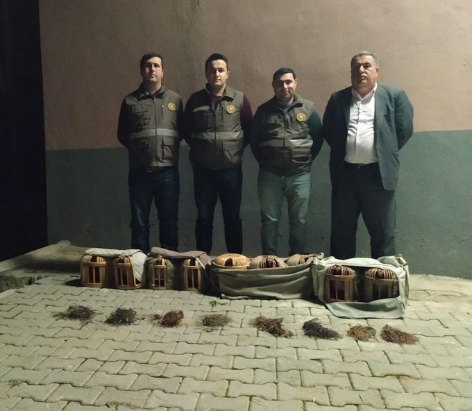 Şanlıurfa’da kaçak avlanmış 9 kınalı keklik ele geçirildi