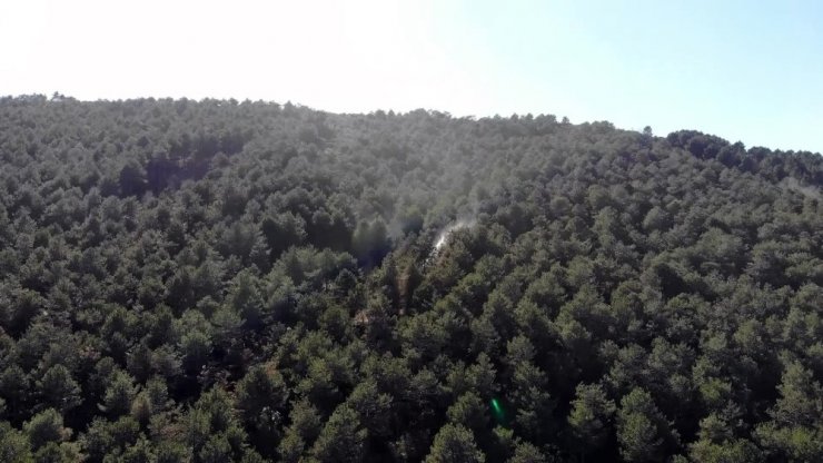 Aydos Ormanı’nda yangının çıktığı alan havadan görüntülendi