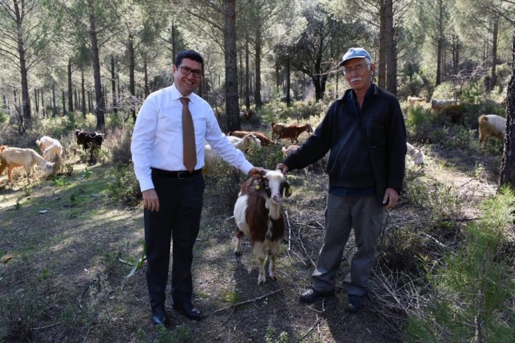 Muğla’nın alabalık üretimi 21 bin tona çıktı