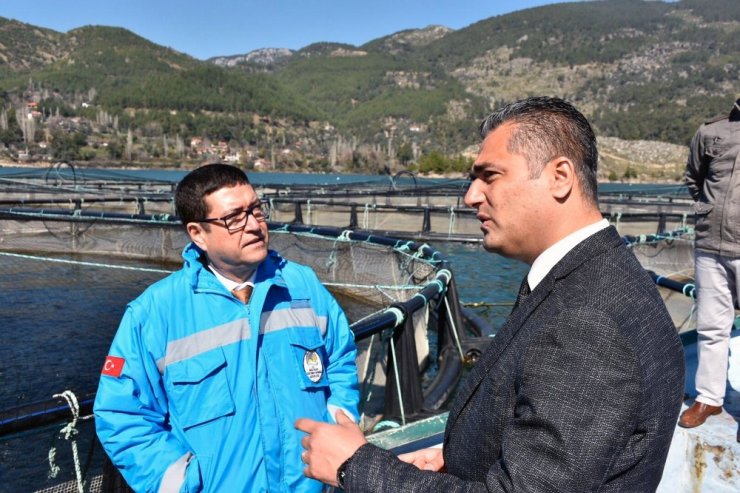 Muğla’nın alabalık üretimi 21 bin tona çıktı