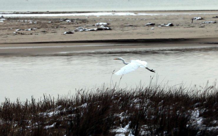 "Türkiye'nin Kuşları" kitabıyla 485 kuş türünü doğaseverlere tanıtacaklar