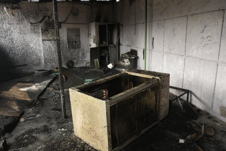 Yeni Delhi'de vatandaşlık yasasına karşı protestolarda 4 günde 20 kişi öldü