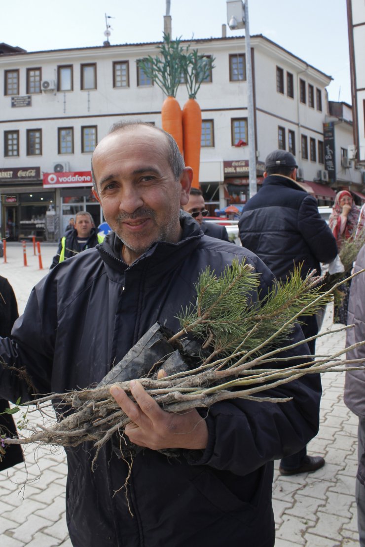 Beypazarı'nda fidan dağıtımı
