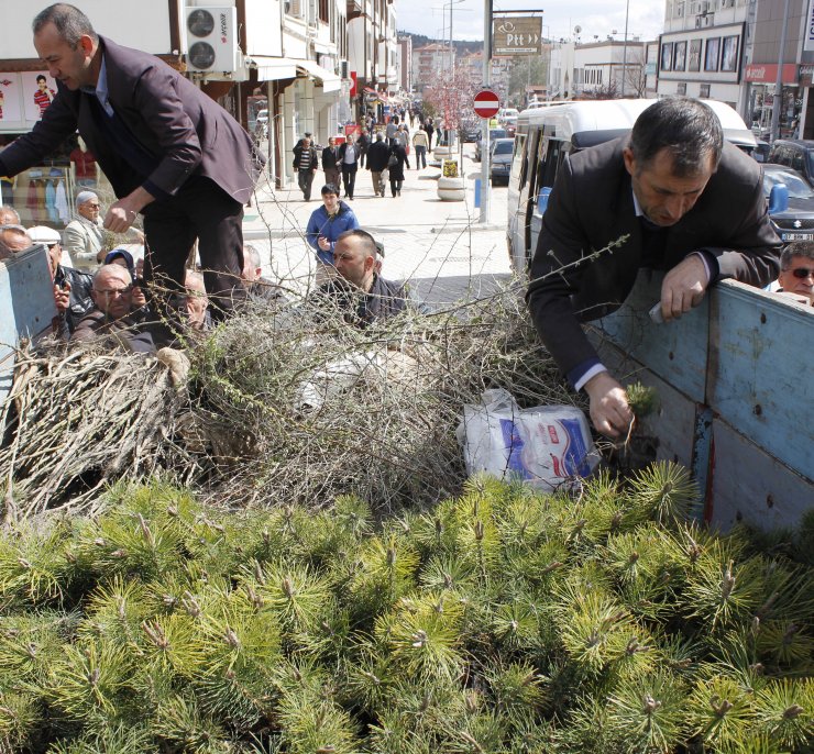 Beypazarı'nda fidan dağıtımı