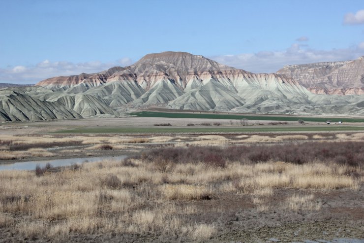 Nallıhan'da Kuş Cenneti sessizliğe büründü