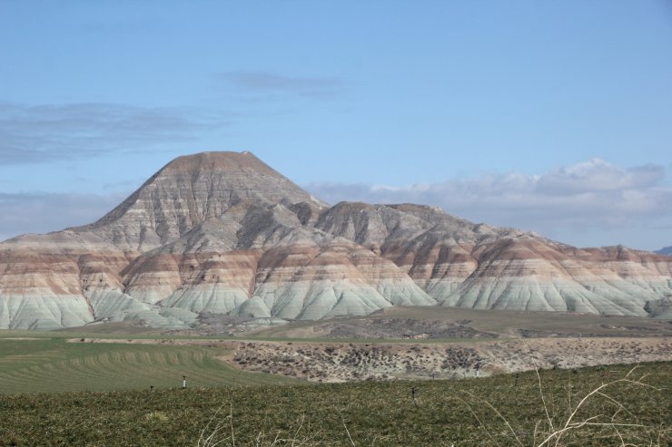 Nallıhan'da Kuş Cenneti sessizliğe büründü