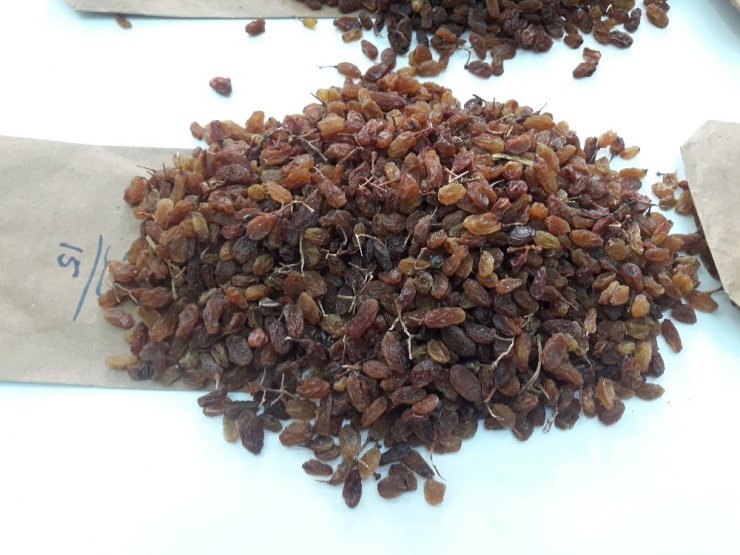 Üzümde ürün çeşitliliği rekabetçiliği arttıracak