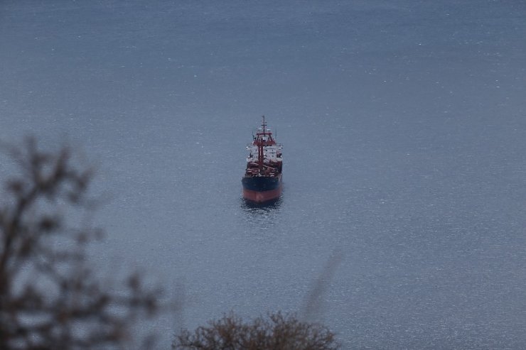 Ayvacık’a demir atan gemi ekipleri harekete geçirdi