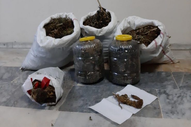 Kütahya'da yakalanan 2 uyuşturucu şüphelisi tutuklandı