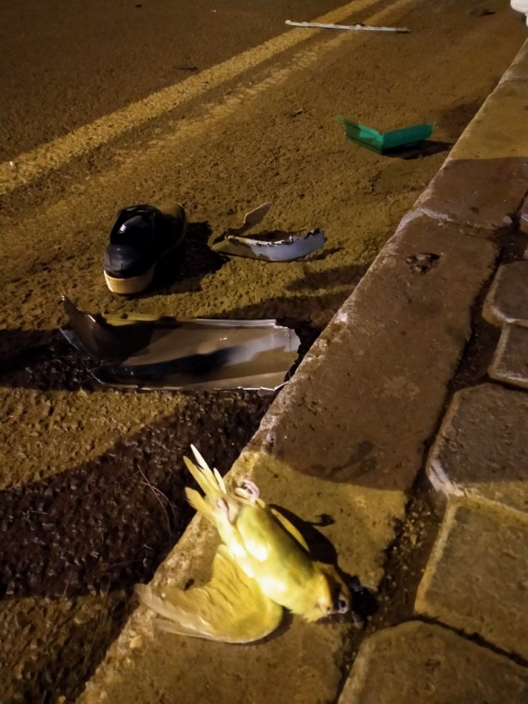 Aydın'da otomobilin çarptığı motosiklet sürücüsü öldü