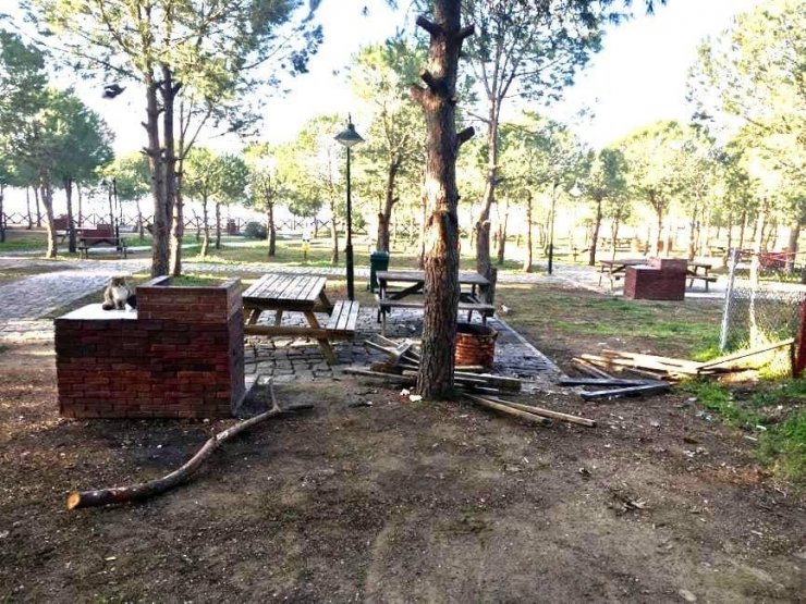 Şehir magandaları piknik masalarını yaktı
