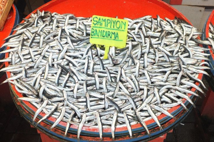 Hamsi 35 lira ile rekor kırdı