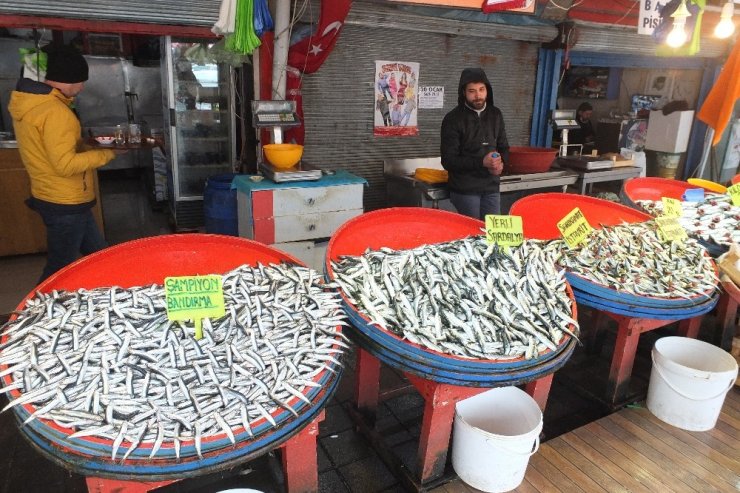 Hamsi 35 lira ile rekor kırdı
